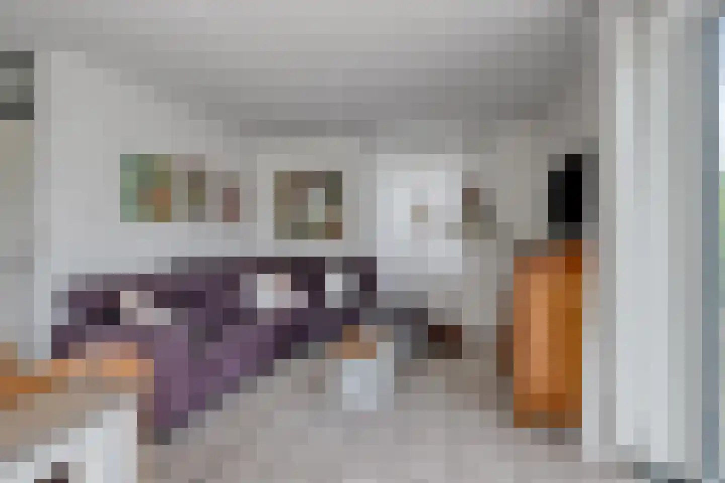 Schoneveld 144 Breskens thumbnail 5