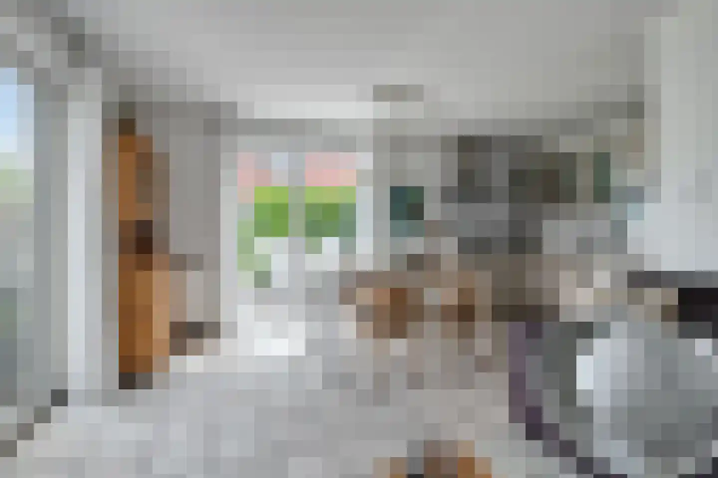Schoneveld 144 Breskens thumbnail 7