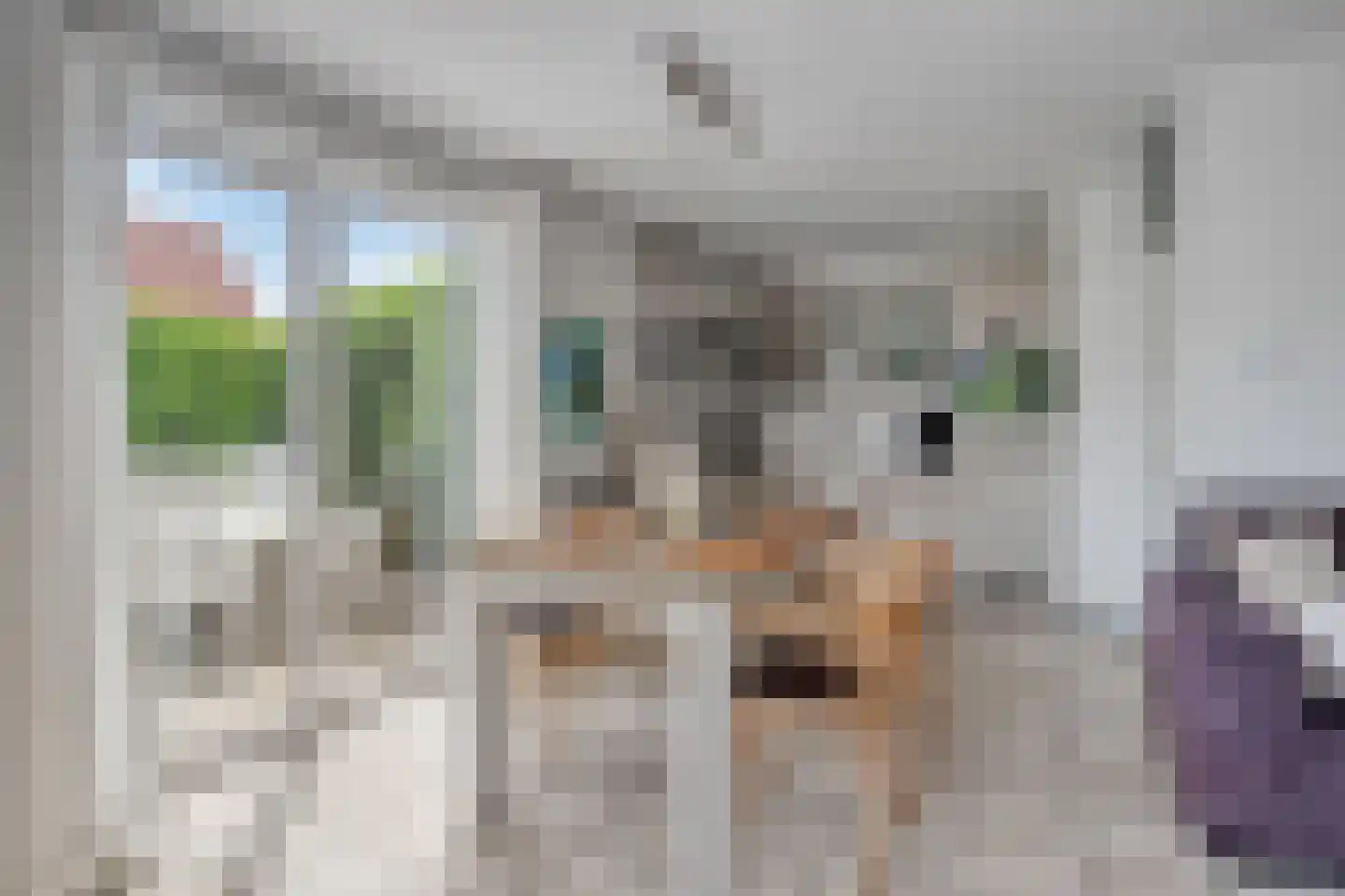 Schoneveld 144 Breskens thumbnail 8