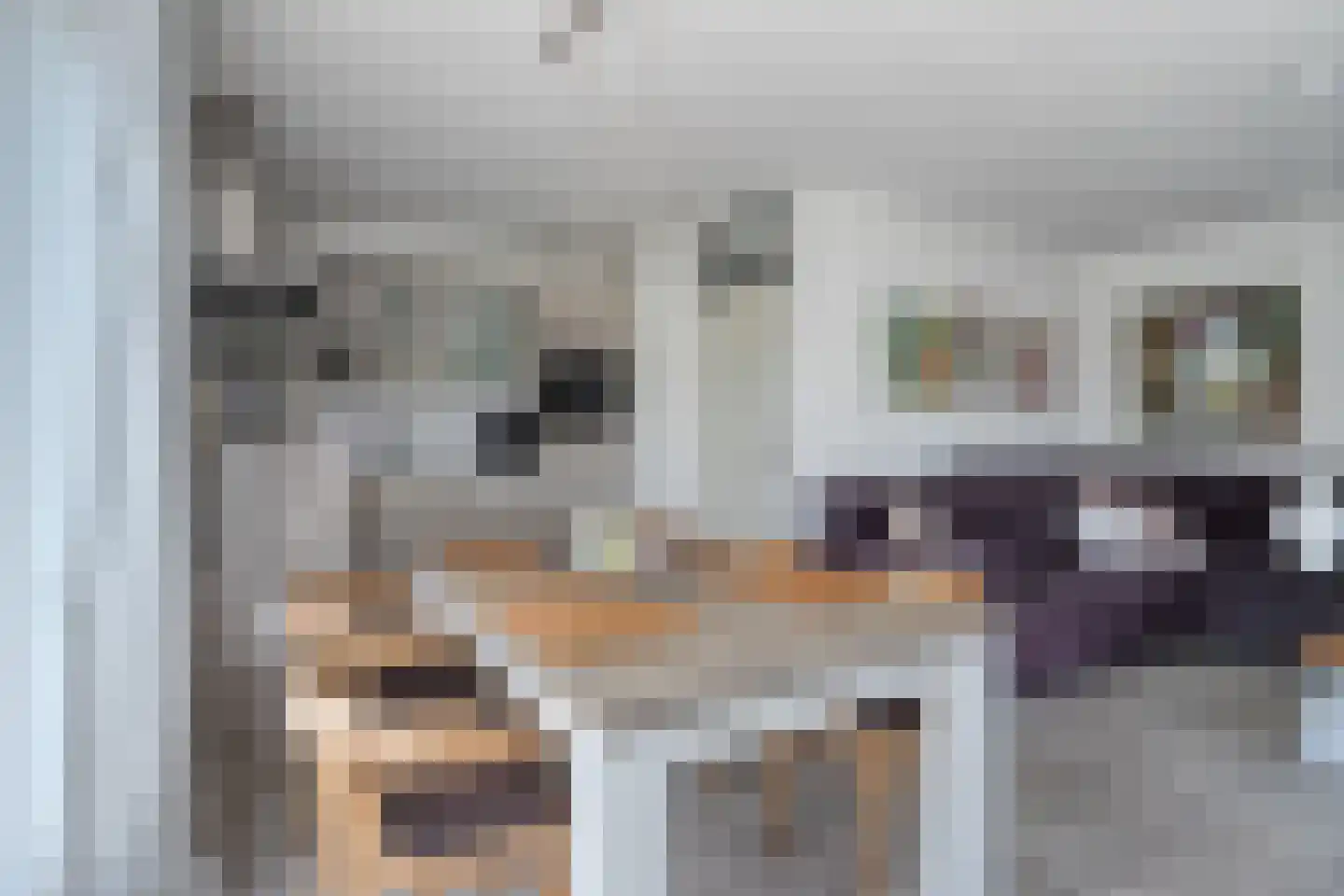 Schoneveld 144 Breskens thumbnail 9