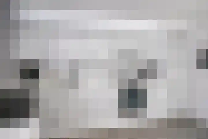 Schoneveld 145 Breskens thumbnail 10