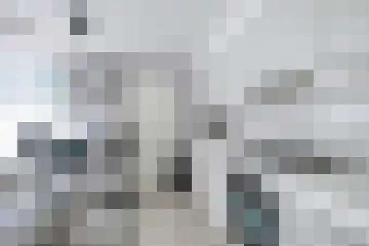 Schoneveld 145 Breskens thumbnail 11