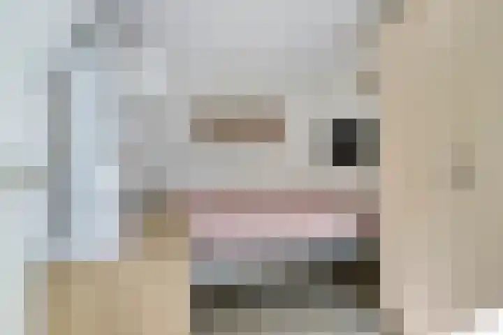 Schoneveld 145 Breskens thumbnail 12