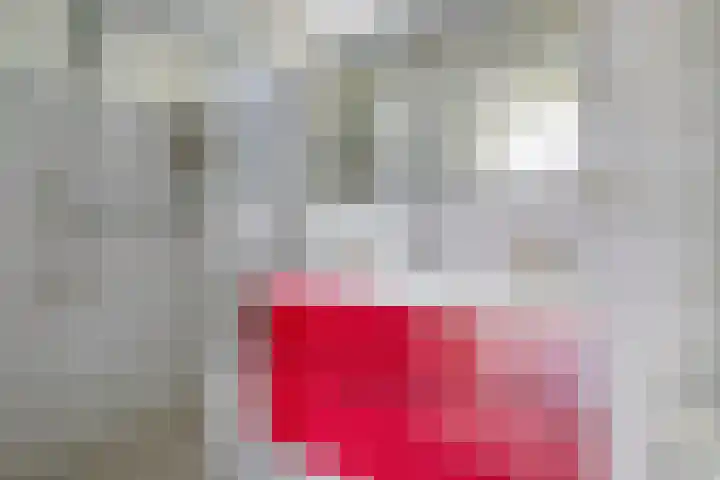 Schoneveld 145 Breskens thumbnail 13