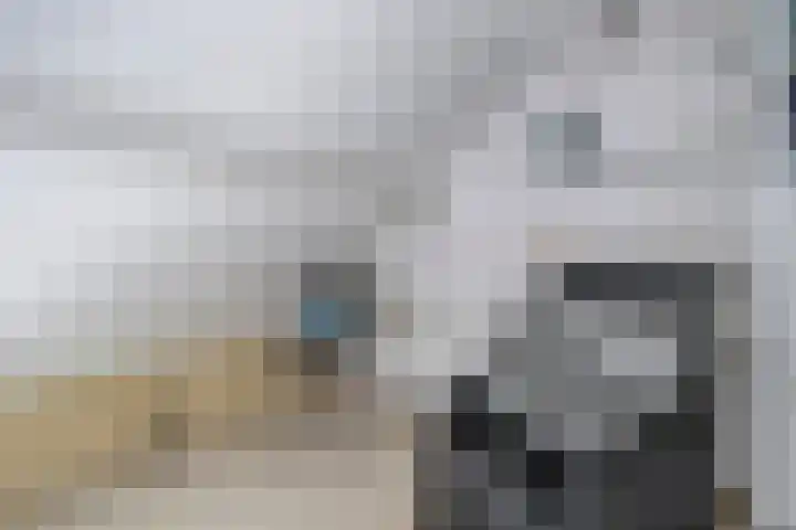 Schoneveld 145 Breskens thumbnail 14