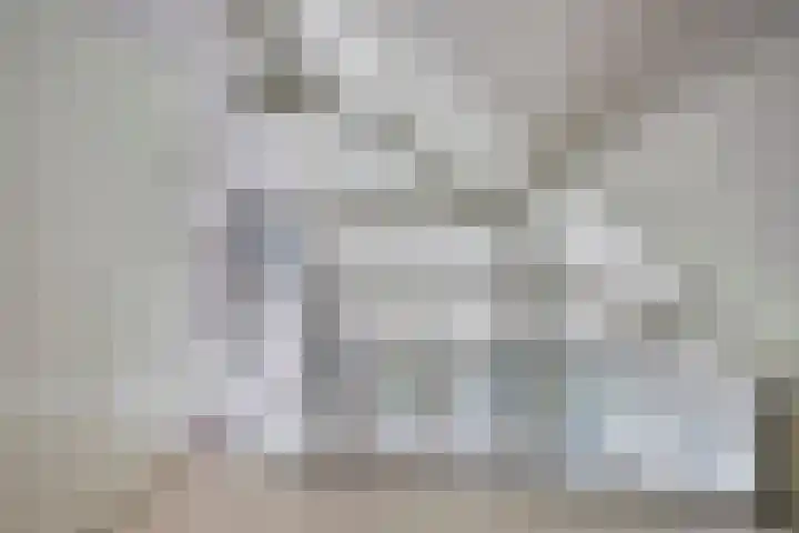 Schoneveld 145 Breskens thumbnail 15