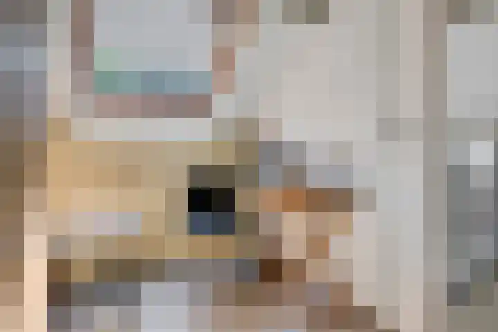 Schoneveld 145 Breskens thumbnail 17