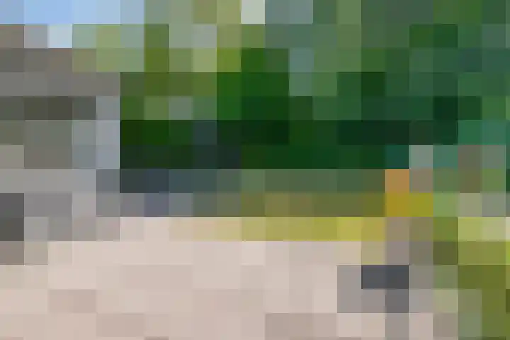 Schoneveld 145 Breskens thumbnail 18