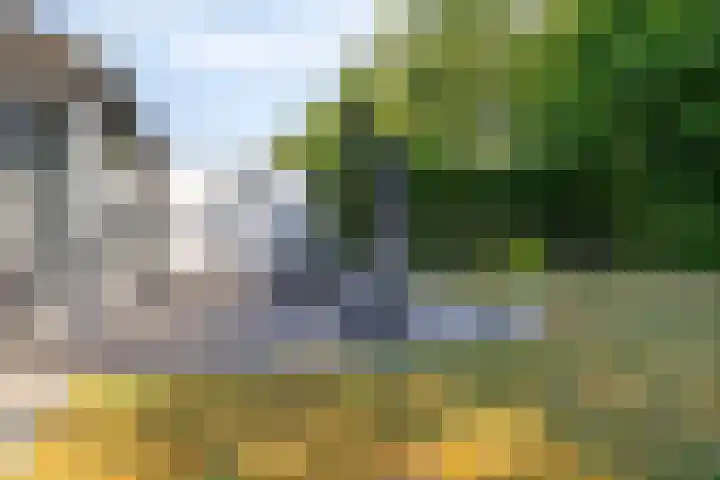 Schoneveld 145 Breskens thumbnail 19