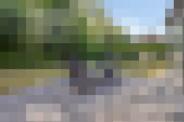 Schoneveld 145 Breskens thumbnail 20