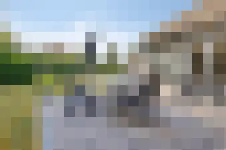 Schoneveld 145 Breskens thumbnail 21