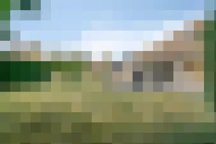 Schoneveld 145 Breskens thumbnail 22