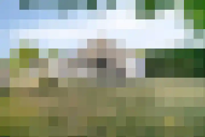 Schoneveld 145 Breskens thumbnail 23