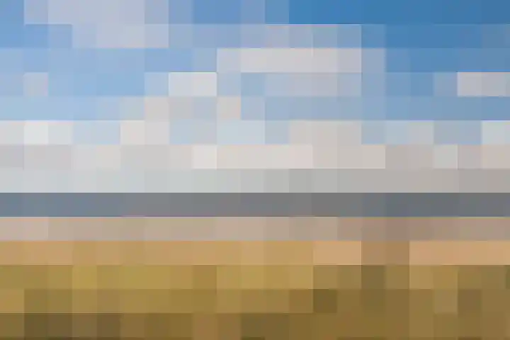 Schoneveld 145 Breskens thumbnail 26