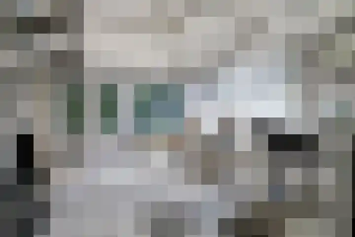 Schoneveld 145 Breskens thumbnail 5
