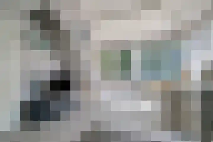 Schoneveld 145 Breskens thumbnail 6