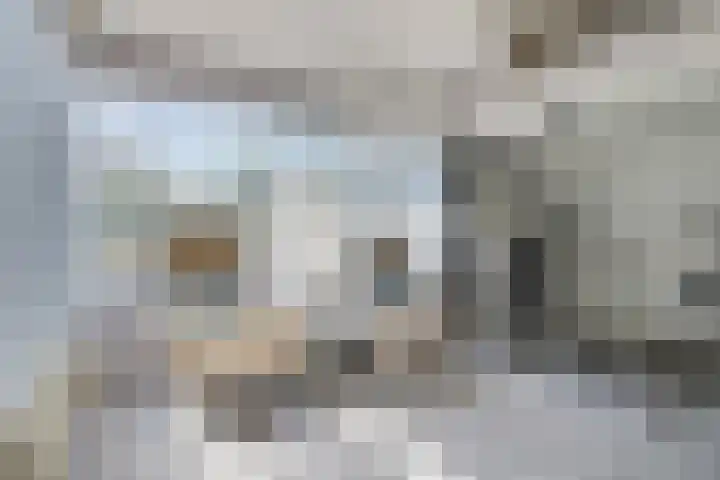 Schoneveld 145 Breskens thumbnail 7
