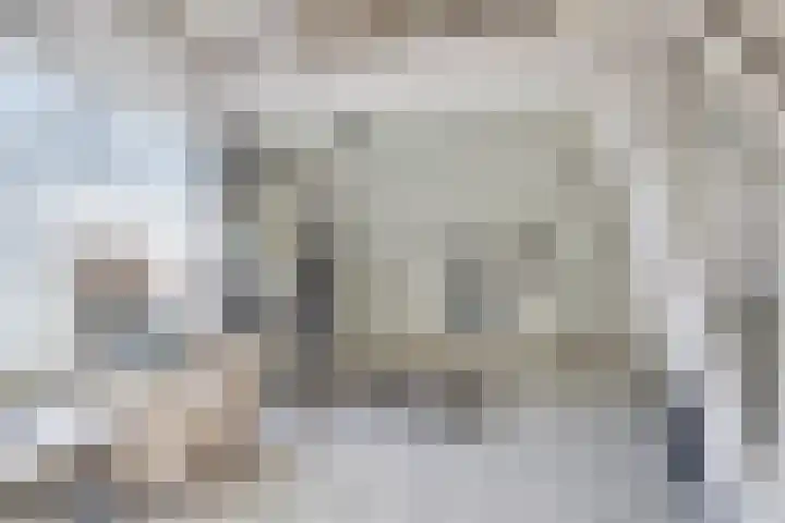 Schoneveld 145 Breskens thumbnail 8