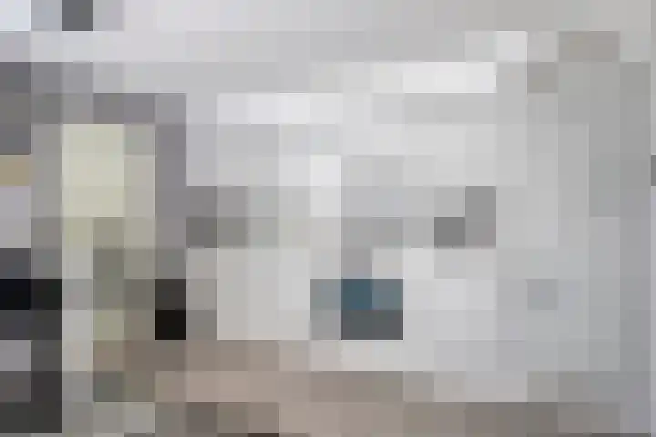 Schoneveld 145 Breskens thumbnail 9
