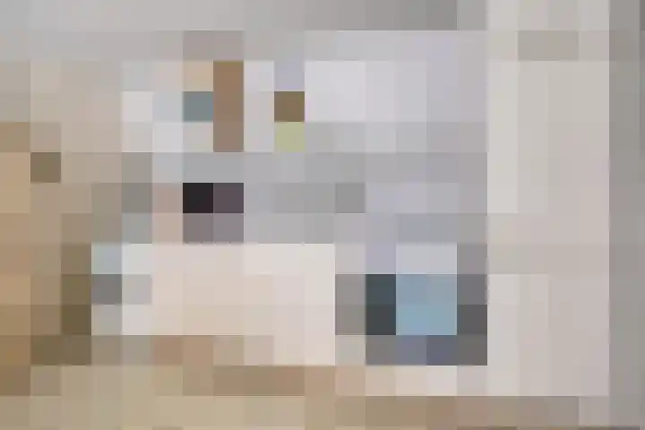 Schoneveld 157 Breskens thumbnail 11