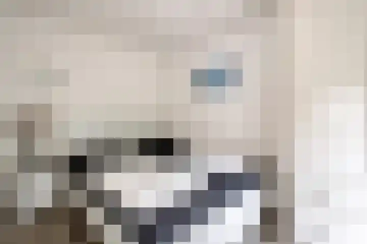 Schoneveld 157 Breskens thumbnail 12