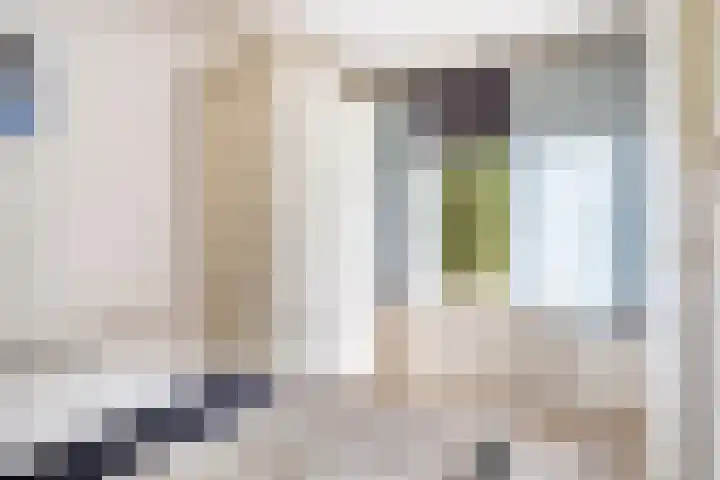 Schoneveld 157 Breskens thumbnail 13