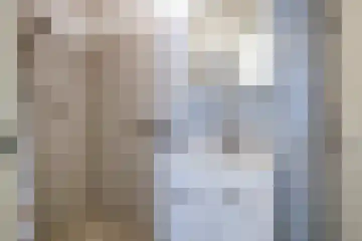 Schoneveld 157 Breskens thumbnail 15