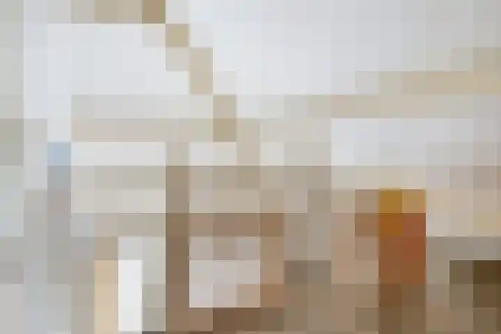 Schoneveld 157 Breskens thumbnail 18