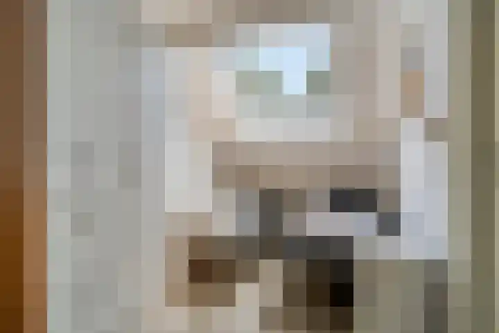 Schoneveld 157 Breskens thumbnail 19