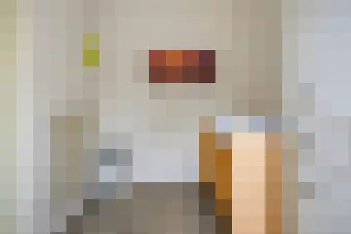 Schoneveld 157 Breskens thumbnail 20