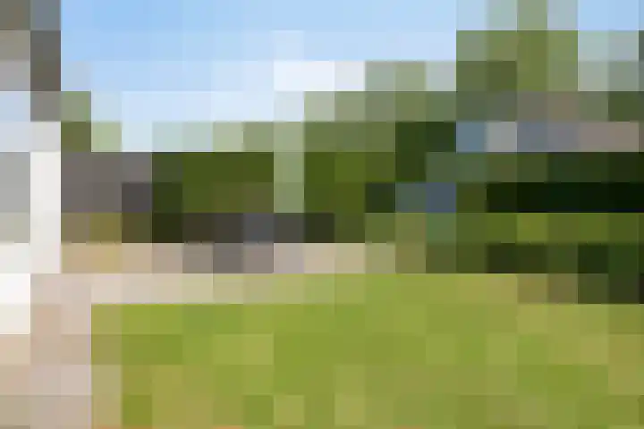 Schoneveld 157 Breskens thumbnail 21