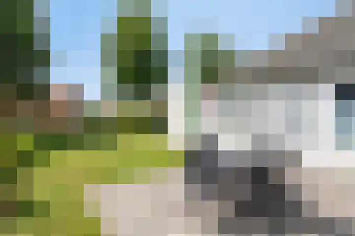Schoneveld 157 Breskens thumbnail 23