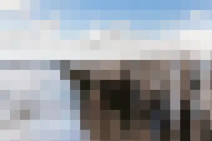Schoneveld 157 Breskens thumbnail 24