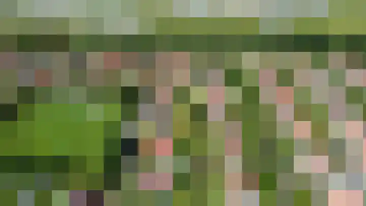 Schoneveld 157 Breskens thumbnail 26