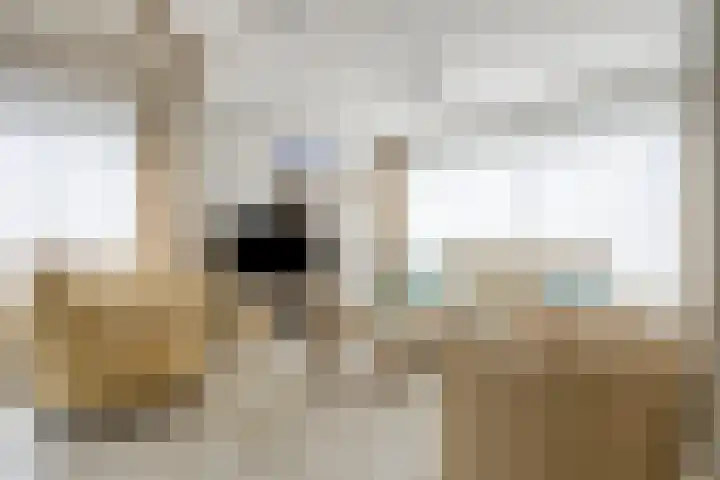 Schoneveld 157 Breskens thumbnail 5