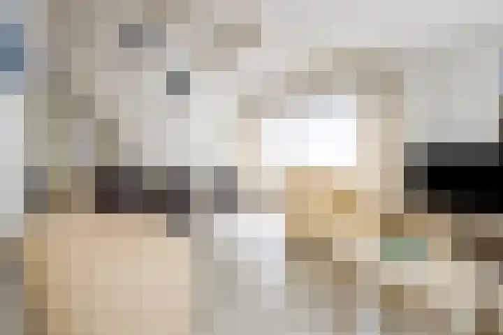 Schoneveld 157 Breskens thumbnail 6