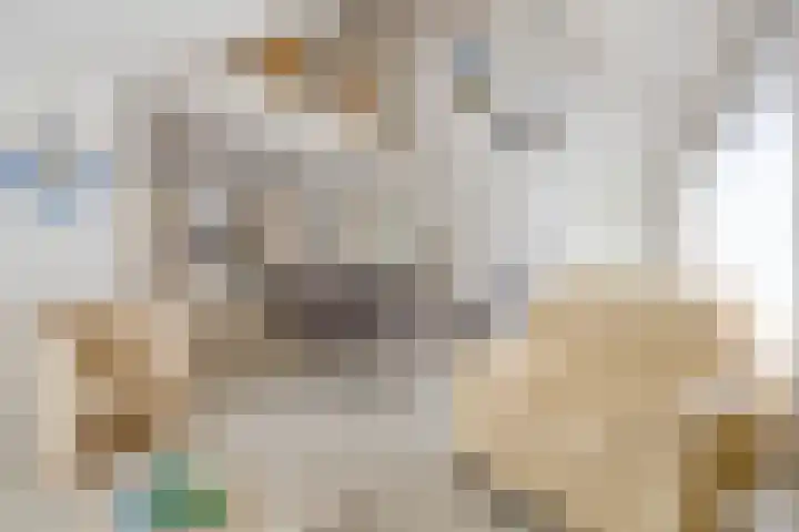 Schoneveld 157 Breskens thumbnail 7