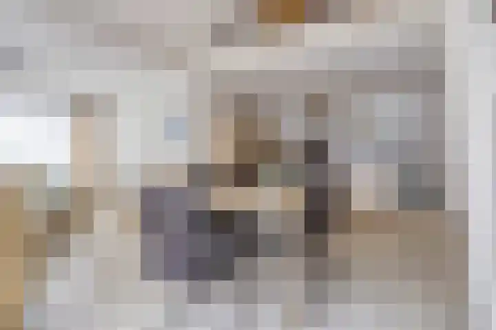Schoneveld 157 Breskens thumbnail 8