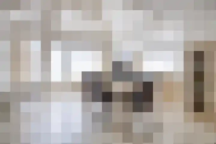 Schoneveld 157 Breskens thumbnail 9