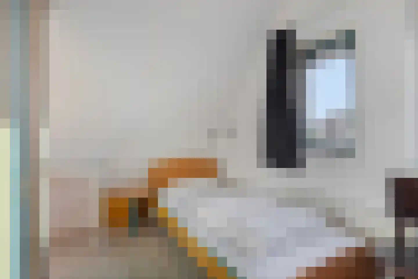 Schoneveld 164 Breskens thumbnail 15