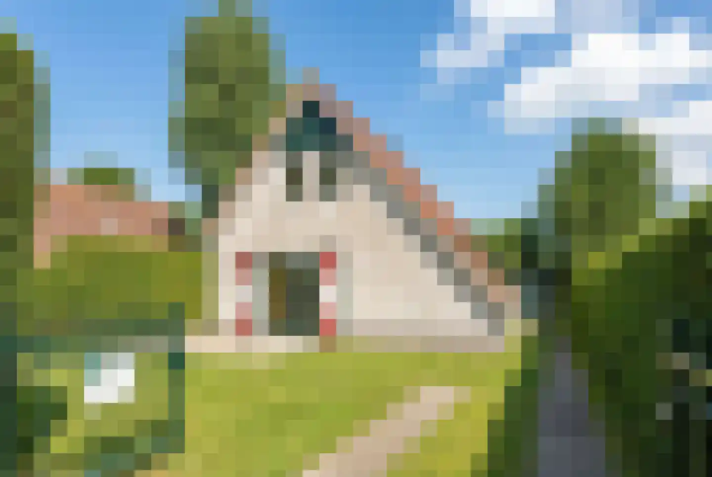 Schoneveld 164 Breskens thumbnail 20