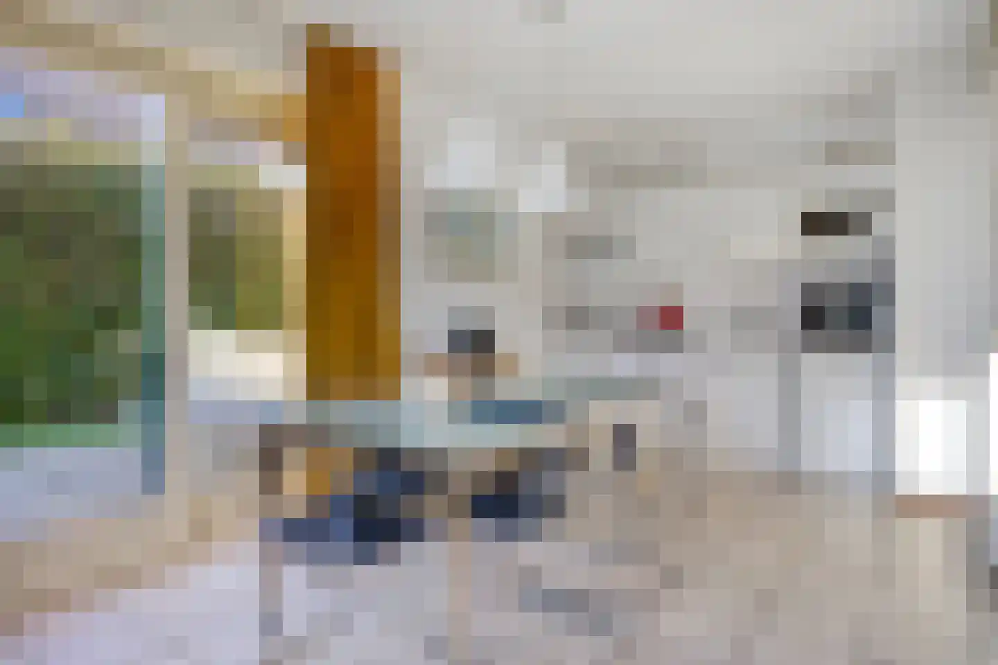 Schoneveld 164 Breskens thumbnail 6