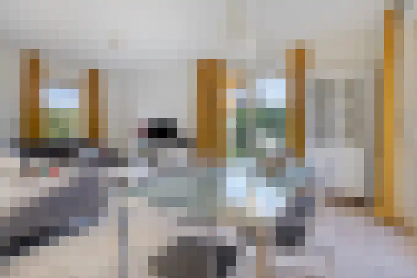 Schoneveld 164 Breskens thumbnail 7