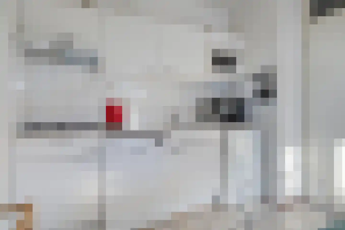 Schoneveld 164 Breskens thumbnail 8