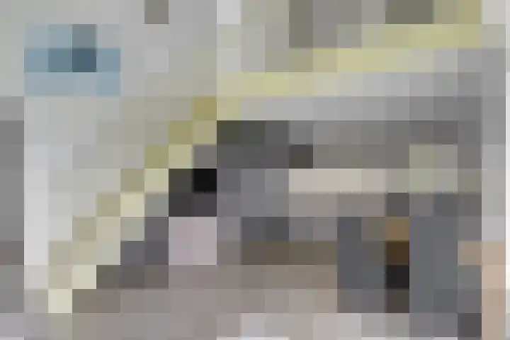 Schoneveld 167 Breskens thumbnail 10