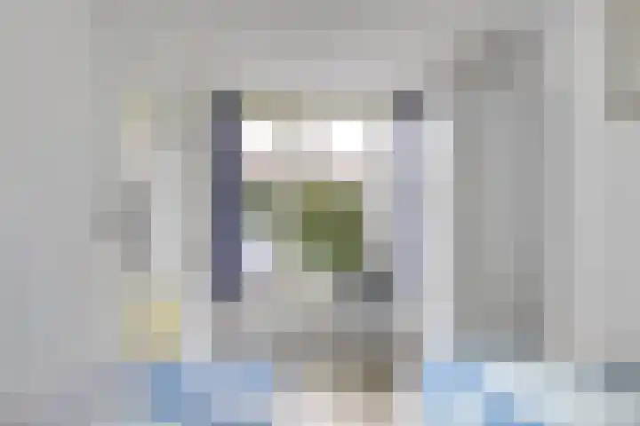 Schoneveld 167 Breskens thumbnail 14