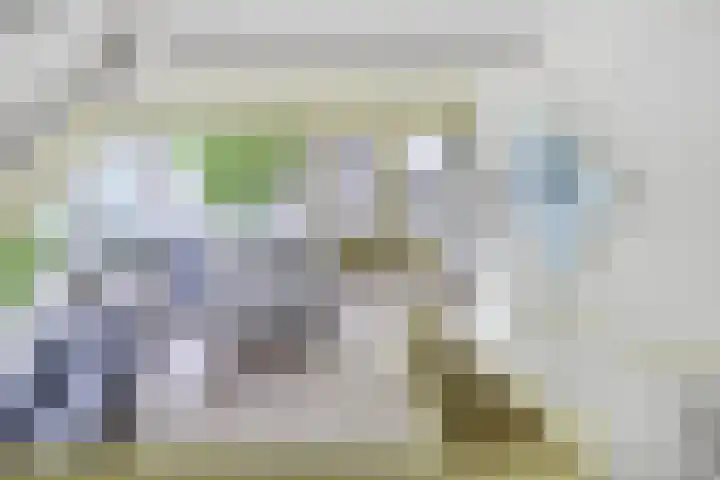 Schoneveld 167 Breskens thumbnail 17