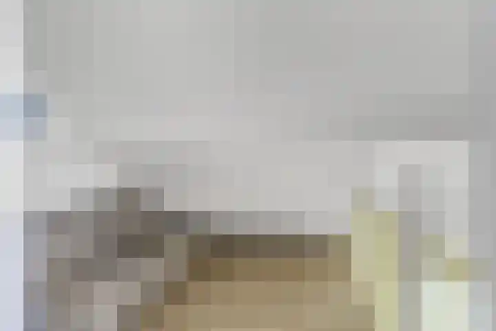 Schoneveld 167 Breskens thumbnail 18
