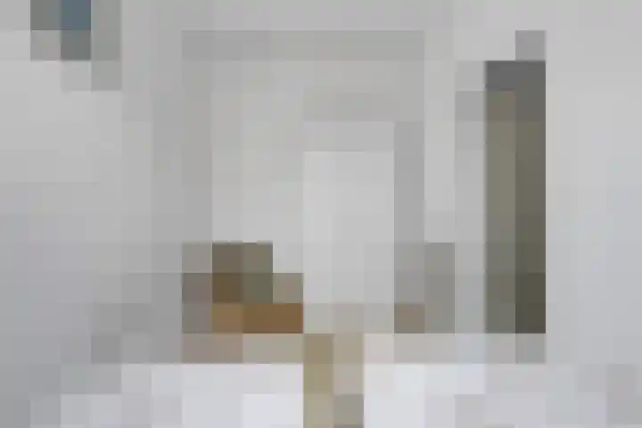 Schoneveld 167 Breskens thumbnail 20