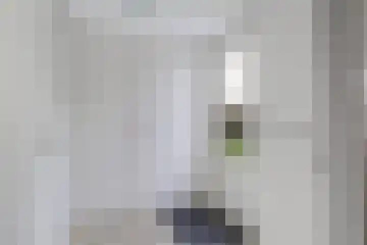 Schoneveld 167 Breskens thumbnail 21